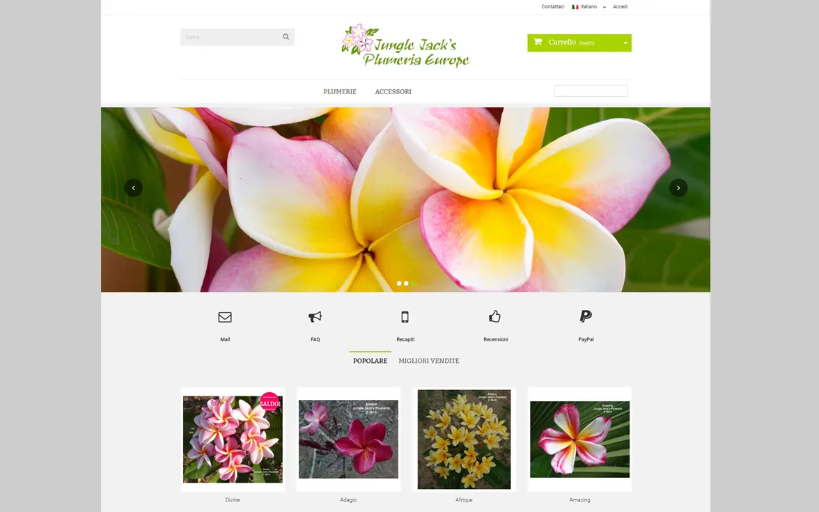 Jungle Jacks Plumeria Europe